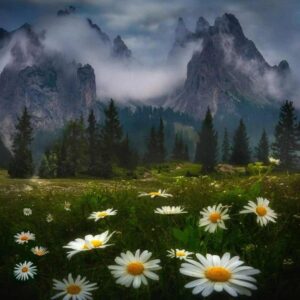 دانلود آهنگ SNX The Power of Silence دانلود آهنگ SNX The Power of Silence